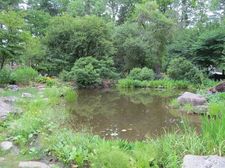 Thumbnail image for Berkshire Garden -Pond.jpg